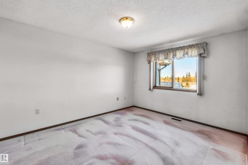 36 303 Twin Brooks Drive, Edmonton, AB - Indoor Photo Showing Other Room