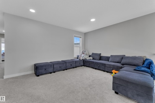 3003 4 Street, Edmonton, AB - Indoor Photo Showing Living Room