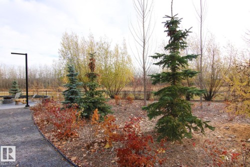 311 7463 May Common, Edmonton, AB - Outdoor With View