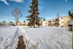 View of snowy yard - 
