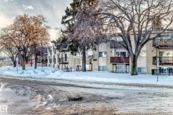 View of snow covered building - 