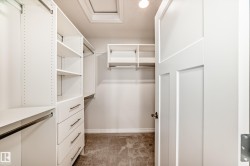 Spacious closet featuring light carpet - 