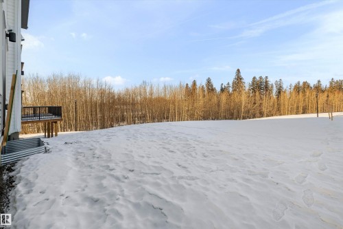 4182 Kinglet Drive, Edmonton, AB - Outdoor