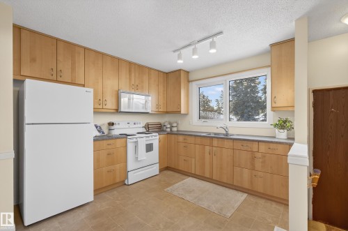 1704 89 Street, Edmonton, AB - Indoor Photo Showing Kitchen With Double Sink