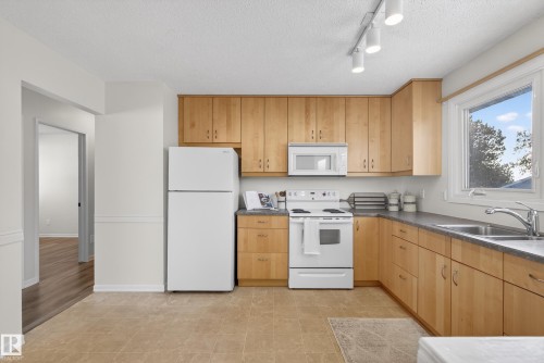 1704 89 Street, Edmonton, AB - Indoor Photo Showing Kitchen With Double Sink