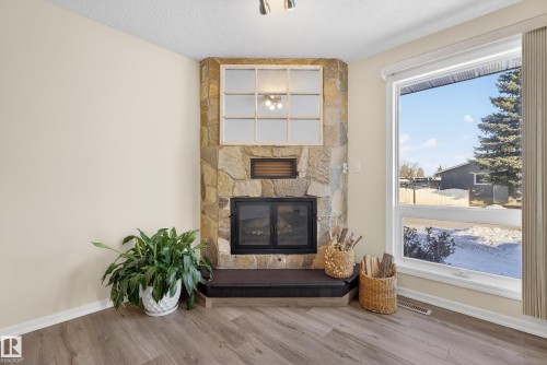 1704 89 Street, Edmonton, AB - Indoor Photo Showing Living Room With Fireplace