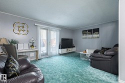 Living area featuring a textured ceiling and carpet floors - 