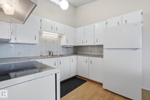 6448 178 Street, Edmonton, AB - Indoor Photo Showing Kitchen With Double Sink