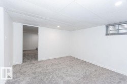 Below grade area with light carpet and baseboards - 