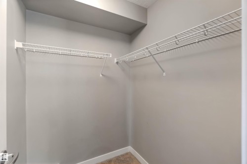 Walk in closet featuring light colored carpet - 101 3670 139 Avenue, Edmonton, AB - Indoor With Storage