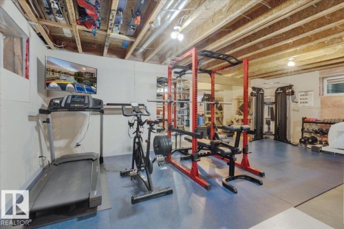 21933 94A Avenue, Edmonton, AB - Indoor Photo Showing Gym Room