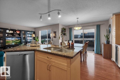 21933 94A Avenue, Edmonton, AB - Indoor Photo Showing Kitchen With Double Sink
