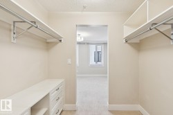 Spacious closet with light carpet - 