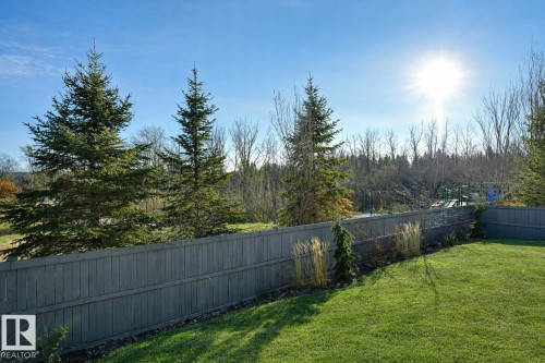 805 Drysdale Run Run, Edmonton, AB - Outdoor With Backyard