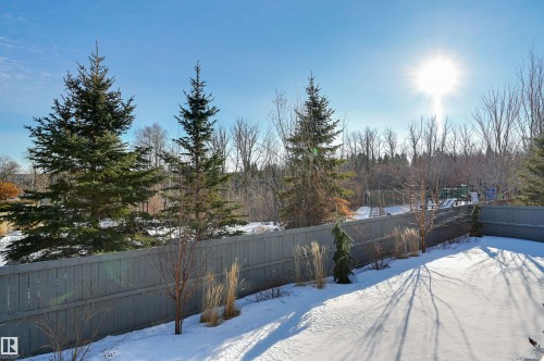 805 Drysdale Run Run, Edmonton, AB - Outdoor