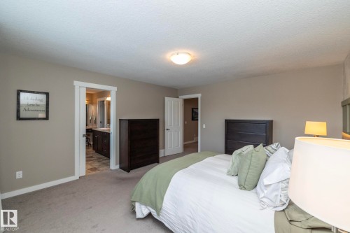 13020 207 Street, Edmonton, AB - Indoor Photo Showing Bedroom