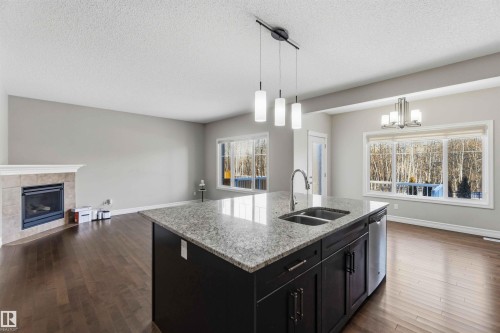 3683 8 Street, Edmonton, AB - Indoor Photo Showing Kitchen With Fireplace With Double Sink