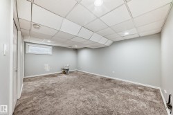 Basement featuring a paneled ceiling and carpet flooring - 