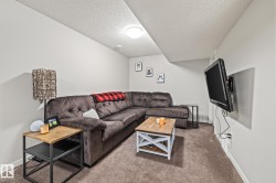 Carpeted living area with baseboards and a textured ceiling - 
