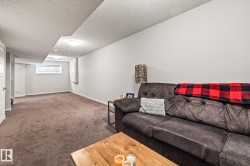 Living area featuring carpet floors and a textured ceiling - 