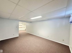 Finished basement with a drop ceiling and carpet flooring - 