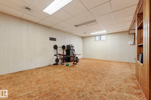 3310 113A Street, Edmonton, AB - Indoor Photo Showing Basement