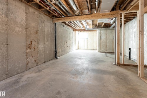 3127 Magpie Way, Edmonton, AB - Indoor Photo Showing Basement