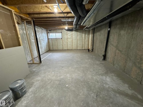 61 5122 213A Street, Edmonton, AB - Indoor Photo Showing Basement