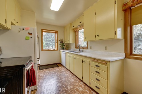 9725 143 Street, Edmonton, AB - Indoor Photo Showing Kitchen With Double Sink