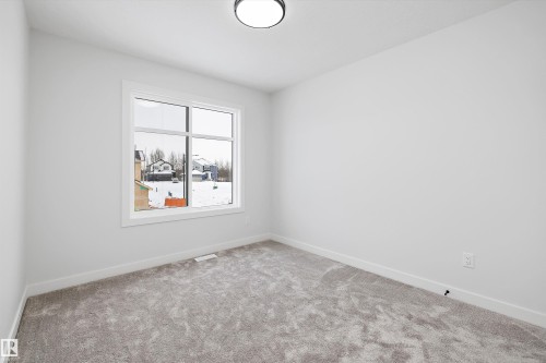 Carpeted empty room featuring baseboards - 230 Edgemont Green Green Nw, Edmonton, AB - Indoor Photo Showing Other Room