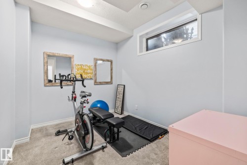 7020 22 Avenue Sw, Edmonton, AB - Indoor Photo Showing Gym Room
