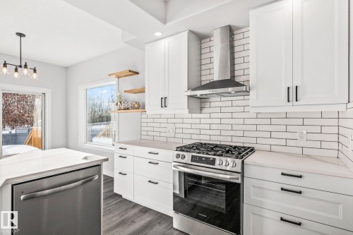 69 Hamilton Crescent, St. Albert, AB - Indoor Photo Showing Kitchen With Upgraded Kitchen