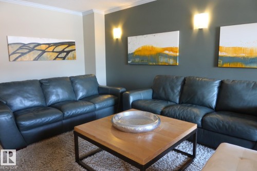 Living room with ornamental molding and carpet floors - 205 14604 125 Street, Edmonton, AB - Indoor Photo Showing Living Room