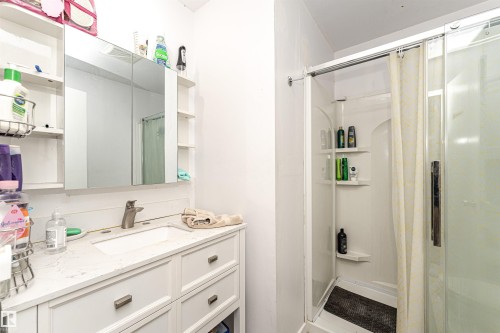 Full bath featuring a stall shower and vanity - 2349 Millbourne Road W, Edmonton, AB - Indoor Photo Showing Bathroom