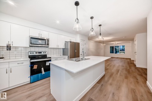 4615 177Ave, Edmonton, AB - Indoor Photo Showing Kitchen With Double Sink With Upgraded Kitchen