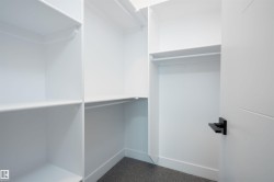 Spacious closet featuring carpet flooring - 