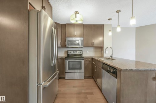 314 2203 44 Avenue, Edmonton, AB - Indoor Photo Showing Kitchen With Stainless Steel Kitchen With Double Sink With Upgraded Kitchen