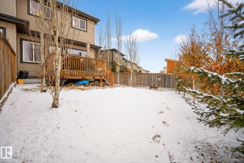 Snowy yard with a wooden deck - 17727 13 Avenue, Edmonton, AB - Outdoor