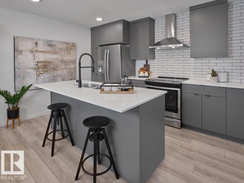 509 Aster Drive, Edmonton, AB - Indoor Photo Showing Kitchen With Double Sink With Upgraded Kitchen
