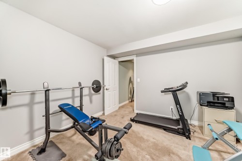 20448 56 Avenue, Edmonton, AB - Indoor Photo Showing Gym Room