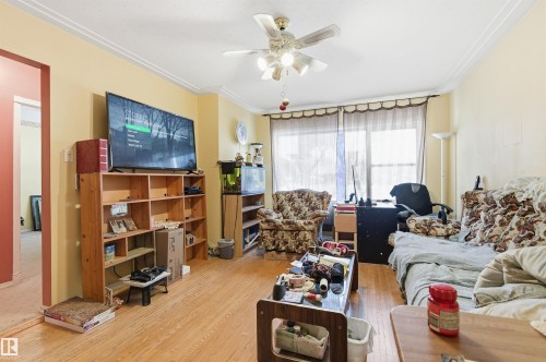 Living area featuring a ceiling fan, crown molding, and wood finished floors - 10332 82 Street, Edmonton, AB - Indoor Photo Showing Living Room
