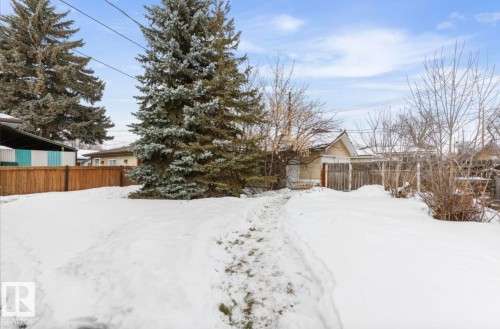 View of snowy yard - 3810 110 Avenue, Edmonton, AB - Outdoor