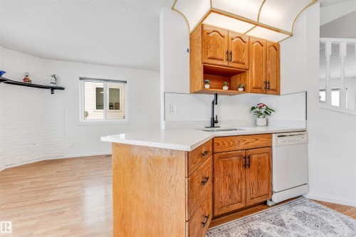 5 1033 Youville Drive W, Edmonton, AB - Indoor Photo Showing Kitchen