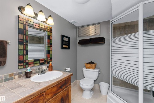 Basement 3-piece bath - 5628 188A Street, Edmonton, AB - Indoor Photo Showing Bathroom