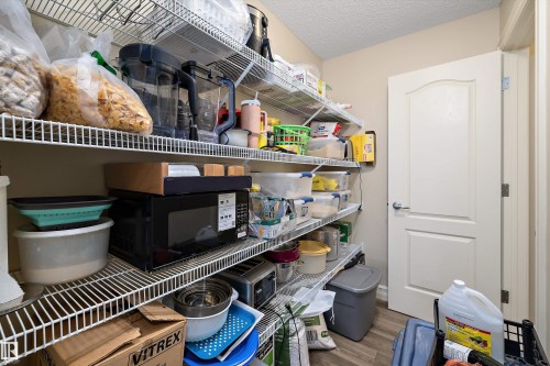 2407 Casselman Crescent, Edmonton, AB - Indoor With Storage