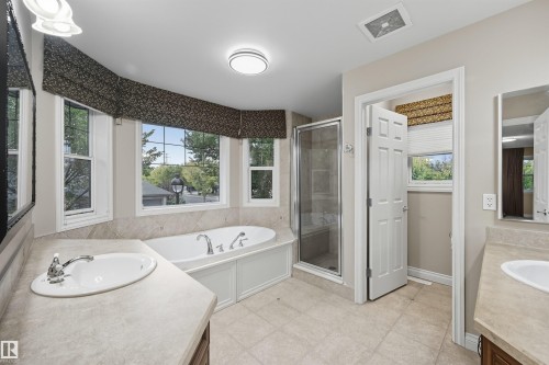 976 Hollingsworth Bend, Edmonton, AB - Indoor Photo Showing Bathroom