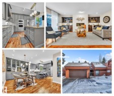 39 500 LESSARD Drive  Edmonton, AB T6M 1G1