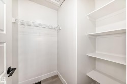 View of walk in closet - 