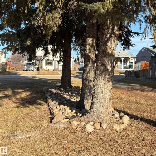View of yard with a residential view - 4511 53 Ave, Barrhead, AB - Outdoor