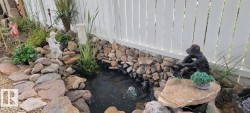 Exterior view of a small pond - 